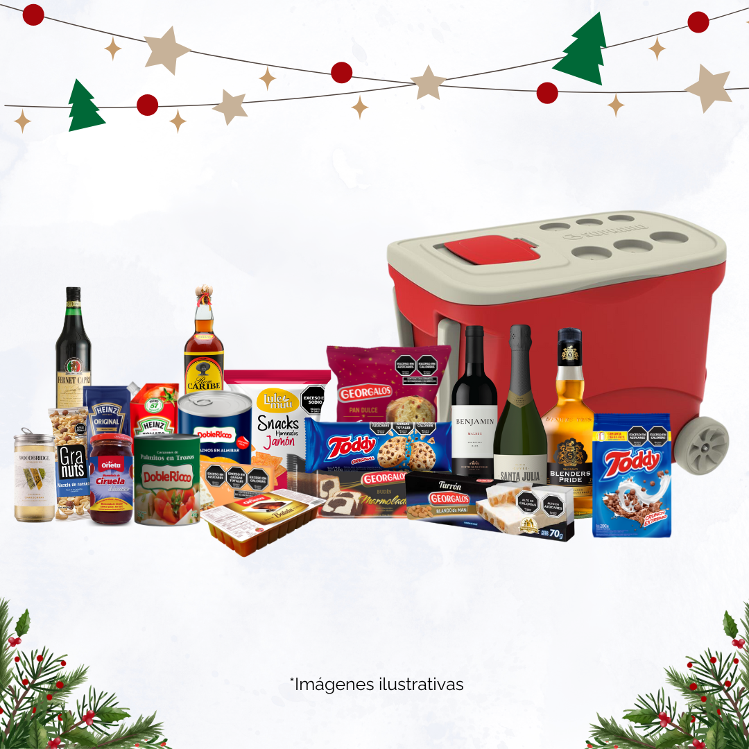 CONSERVADORA EJECUTIVA