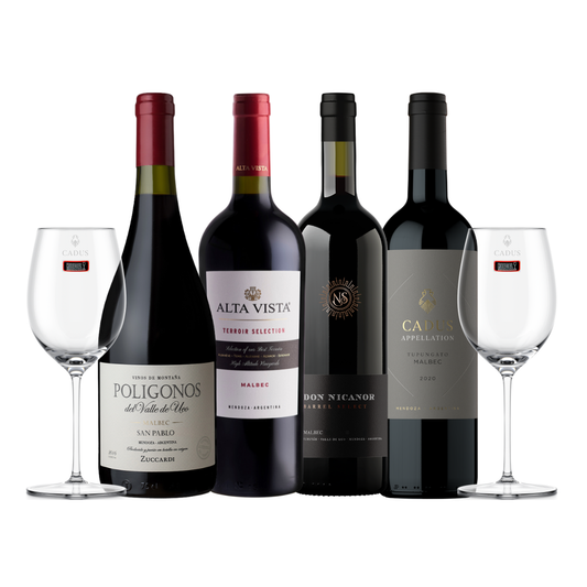 Pasión por el Malbec